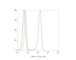 CHM Antibody in Flow Cytometry (Flow)