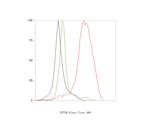 NPY5R Antibody in Flow Cytometry (Flow)