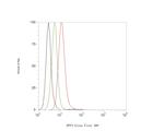 DPP3 Antibody in Flow Cytometry (Flow)