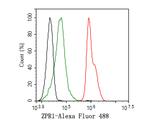 ZPR1 Antibody in Flow Cytometry (Flow)