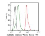 SUOX Antibody in Flow Cytometry (Flow)