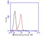 METTL3 Antibody in Flow Cytometry (Flow)