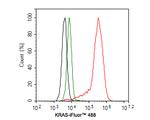 K-Ras Antibody in Flow Cytometry (Flow)