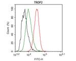 TROP2 Antibody in Flow Cytometry (Flow)