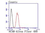 CD56 (NCAM) Antibody in Flow Cytometry (Flow)