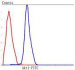 AKT1 Antibody in Flow Cytometry (Flow)