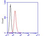 GATA3 Antibody in Flow Cytometry (Flow)