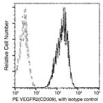 VEGF Receptor 2 Antibody in Flow Cytometry (Flow)