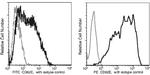 E-selectin Antibody in Flow Cytometry (Flow)