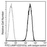 LAMP1 Antibody in Flow Cytometry (Flow)