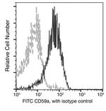 CD59 Antibody in Flow Cytometry (Flow)