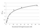 IL-6 Antibody in ELISA (ELISA)