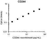 CD244 (2B4) Antibody in ELISA (ELISA)