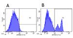 CD40 Chimeric Antibody in Flow Cytometry (Flow)