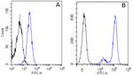 EGFR Chimeric Antibody in Flow Cytometry (Flow)