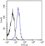 INSR alpha Chimeric Antibody in Flow Cytometry (Flow)