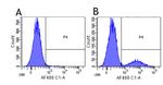 CD79a Chimeric Antibody in Flow Cytometry (Flow)