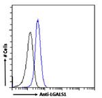 Galectin 1 Antibody in Flow Cytometry (Flow)