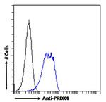 PRDX4 Antibody in Flow Cytometry (Flow)