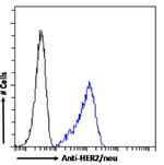 ErbB2 (HER-2) Antibody in Flow Cytometry (Flow)