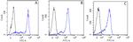 alpha Tubulin Chimeric Antibody in Flow Cytometry (Flow)