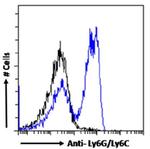 Ly-6G/Ly-6C Chimeric Antibody in Flow Cytometry (Flow)