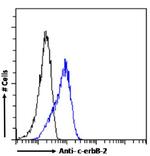 ErbB2 (HER-2) Antibody in Flow Cytometry (Flow)