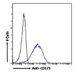 CD171 (L1CAM) Antibody in Flow Cytometry (Flow)