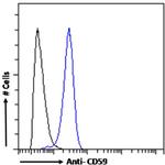 CD59 Chimeric Antibody in Flow Cytometry (Flow)