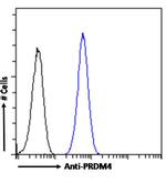 PRDM9 Chimeric Antibody in Flow Cytometry (Flow)