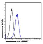 SFMBT1 Chimeric Antibody in Flow Cytometry (Flow)