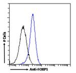 FOXP1 Chimeric Antibody in Flow Cytometry (Flow)