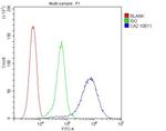 Carbonic Anhydrase II Antibody in Flow Cytometry (Flow)