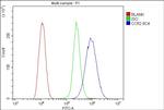 CCR2 Antibody in Flow Cytometry (Flow)