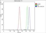 CDK2 Antibody in Flow Cytometry (Flow)