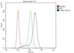 COMT Antibody in Flow Cytometry (Flow)