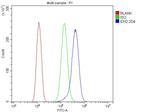 IDH2 Antibody in Flow Cytometry (Flow)