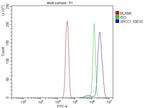 XRCC1 Antibody in Flow Cytometry (Flow)