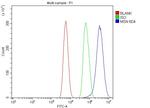 Moesin Antibody in Flow Cytometry (Flow)