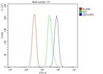 EEF2 Antibody in Flow Cytometry (Flow)