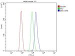 EEF2 Antibody in Flow Cytometry (Flow)