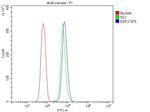 EEF2 Antibody in Flow Cytometry (Flow)