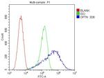 Optineurin Antibody in Flow Cytometry (Flow)