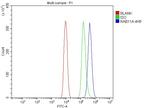 RAB11A Antibody in Flow Cytometry (Flow)