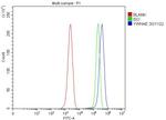 14-3-3 epsilon Antibody in Flow Cytometry (Flow)