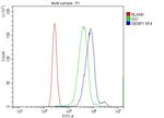 SENP1 Antibody in Flow Cytometry (Flow)