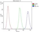 ADK Antibody in Flow Cytometry (Flow)