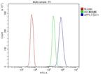 APPL1 Antibody in Flow Cytometry (Flow)