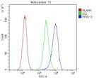 Cyclophilin 40 Antibody in Flow Cytometry (Flow)