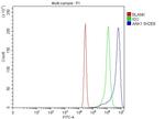 Ankyrin 1 Antibody in Flow Cytometry (Flow)